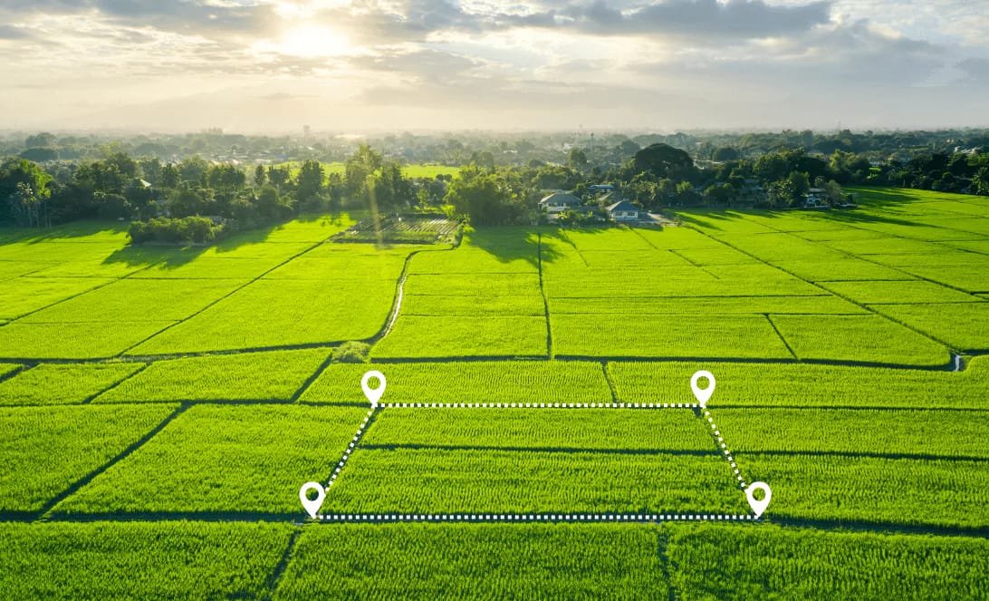 Prime land plot in Kalyani